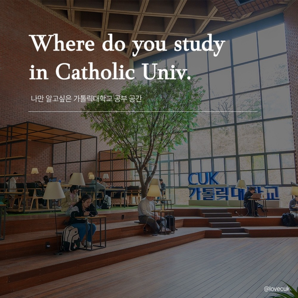 Where do you study in CUK?