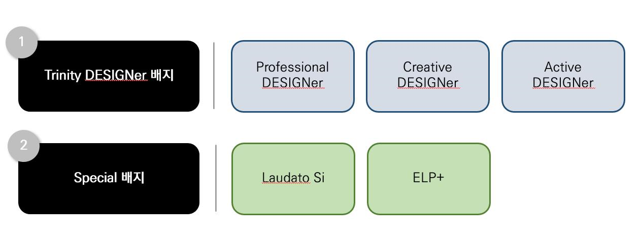 1  Trinity DESIGNer. 배지  Professional DESIGNer  Creative DESIGNer  Active DESIGNer  2  Special 배지  Laudato Si  ELP+