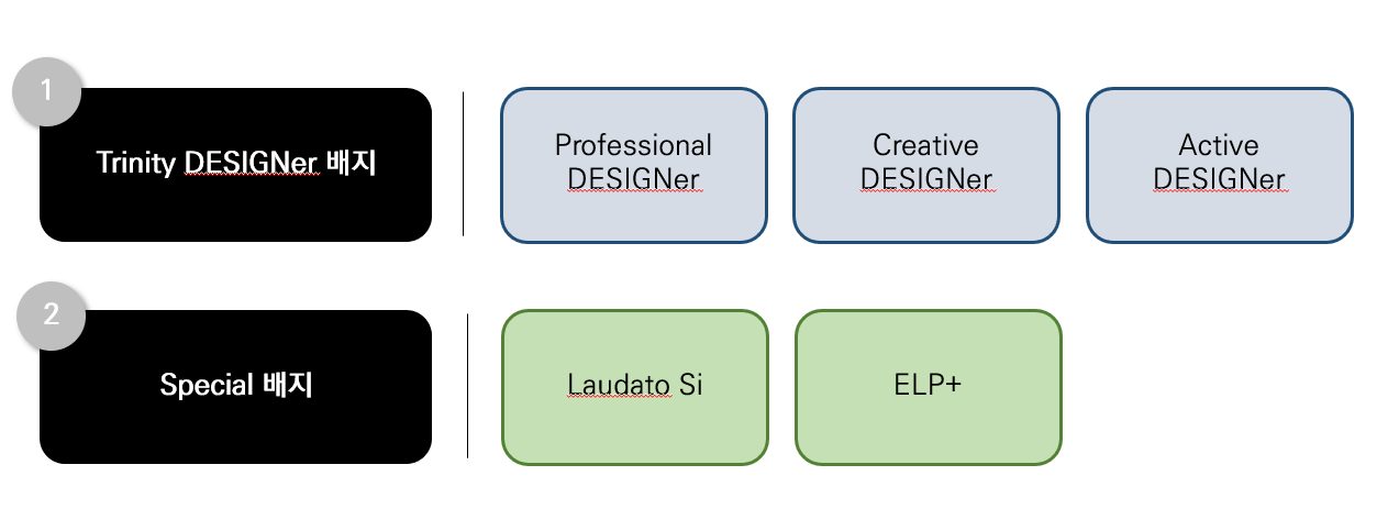 1. Trinity DESlGNer 배지 : Professional Designer, Creative designer, Active designer 2. SpeciaI 배지 : Laudato Si, ELP+