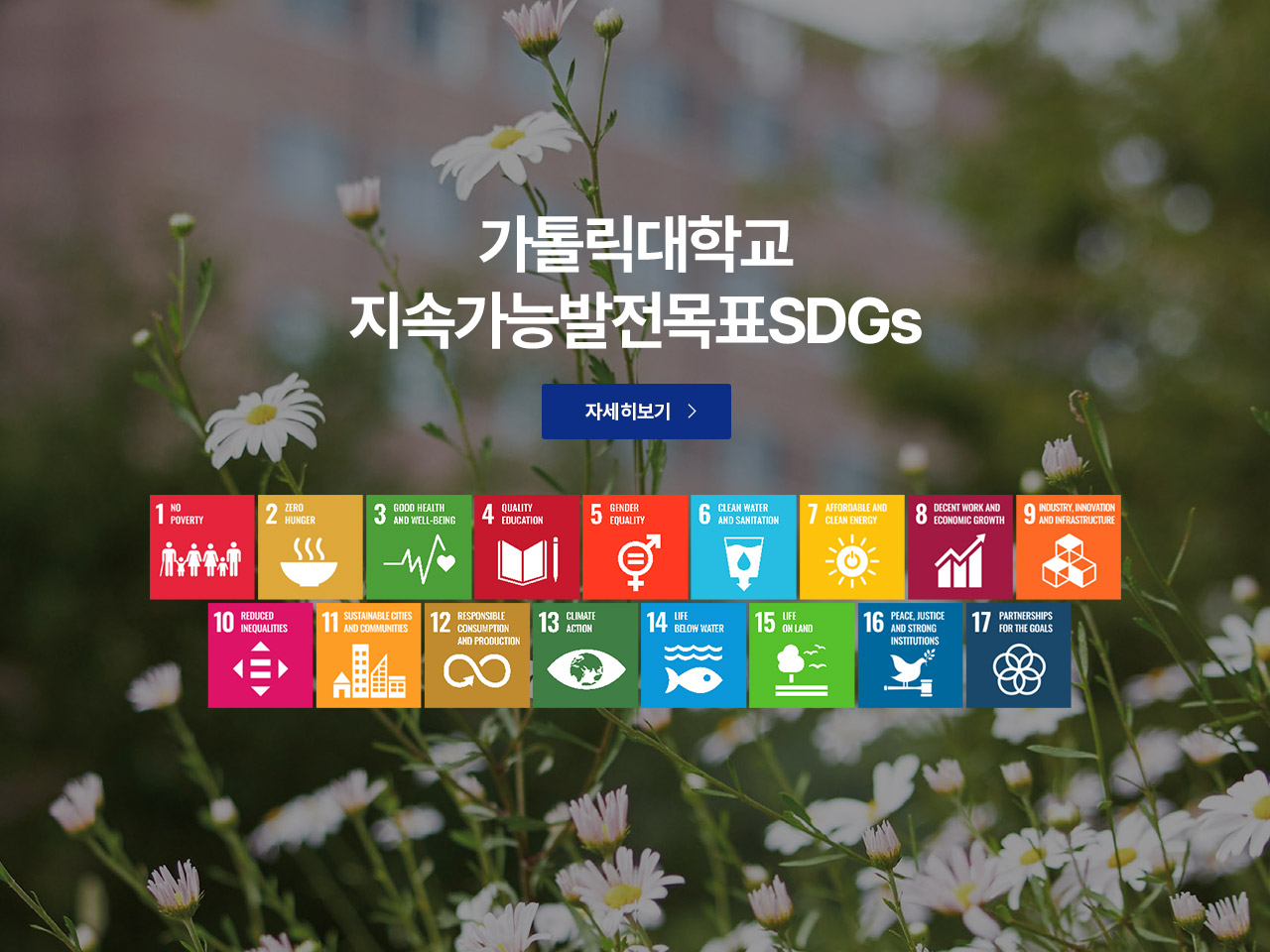 가톨릭대학교 지속가능발전목표SDGs