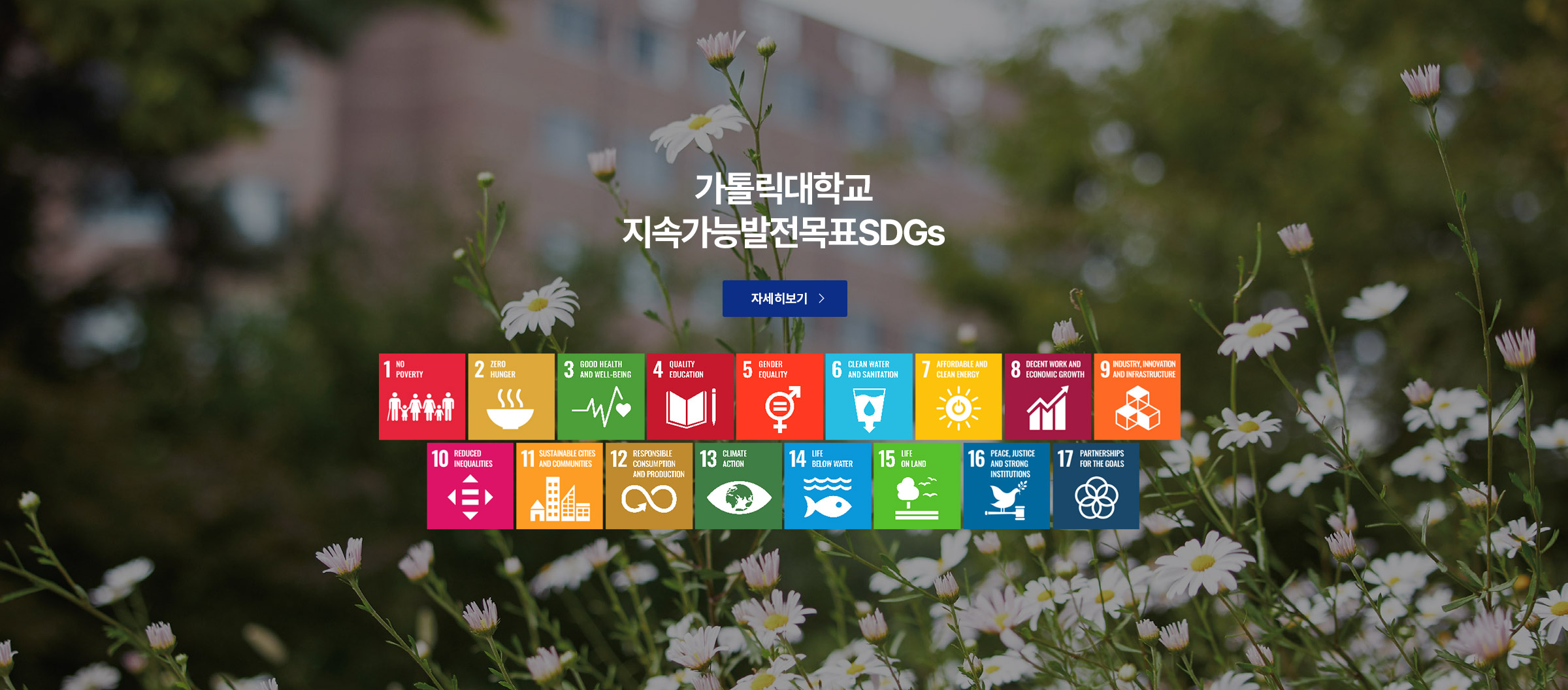 가톨릭대학교 지속가능발전목표SDGs