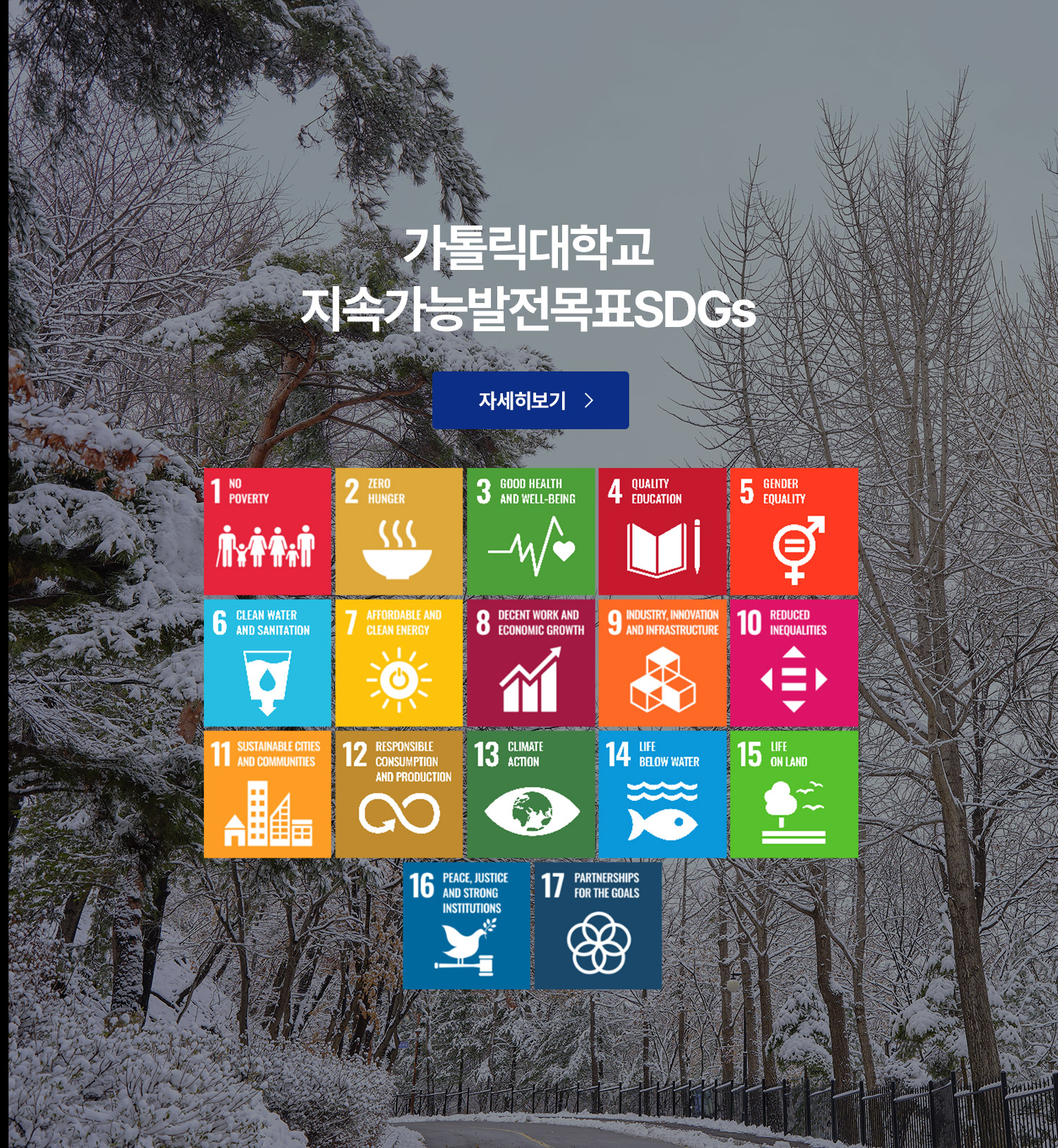 가톨릭대학교 지속가능발전목표SDGs