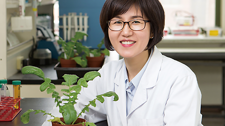 Revealing the Evolutionary Origin of Radishes for the First Time (Hui-Joo Yoo, Professor at the major in Life Science)