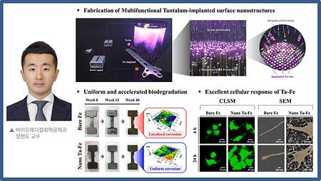 Development of the Surface Processing Technology that Increased the Dissolution Speed and Biocompatibility of Implants