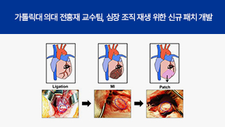 Professor Chun Heungjae Team at CUK College of Medicine, Developed a New Patch for Regenerative Cardiac Tissue