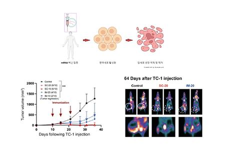 Professor Nam Jae-hwan's Research Team Developed the First 'Native mRNA Anticancer Drug' in Korea