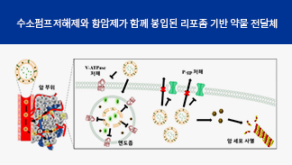 Professor Na Gun Developed Anti-cancer Drug Resistant to Cancer Treatment