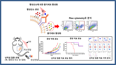 난치성 질환 치료 위한 줄기세포 활성화 기술 개발 착수