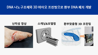 정현도 교수 연구팀,  생광물화한 DNA 나노구조체로 인체조직 재생 성공