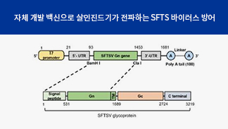 남재환 교수 공동 연구팀,  살인진드기 바이러스 mRNA 백신 국내 최초 개발