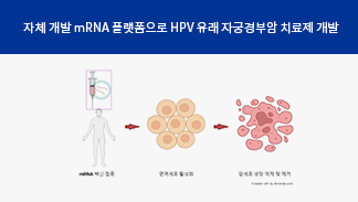 남재환 교수 연구팀,  국내 최초 ‘토종 mRNA 항암 치료제’ 개발