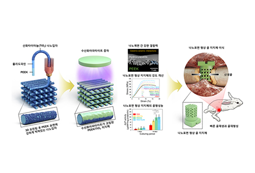 가톨릭대 정현도 교수 공동 연구팀,  생체 친화적인 골조직 재생용 나노 3D 프린팅 기술 개발