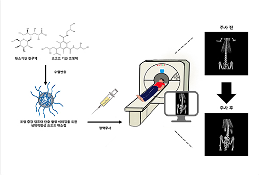 가톨릭대 나건 교수 연구팀, 컴퓨터 단층 촬영이 가능한 탄소점 조영제 개발